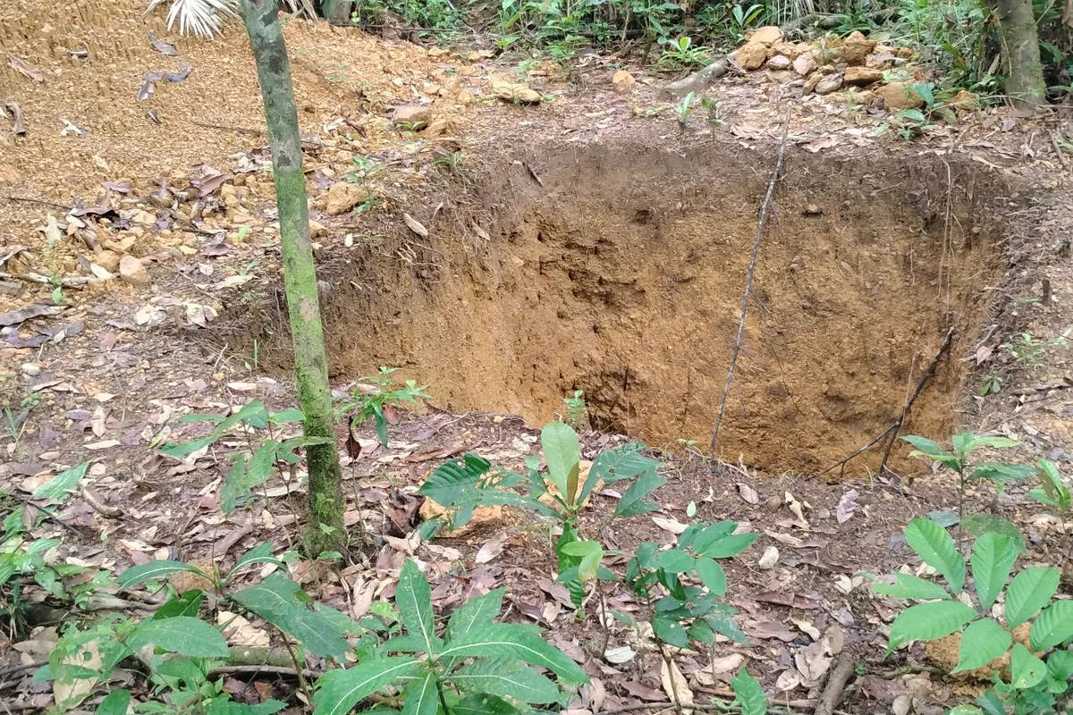 River Cess soil profile